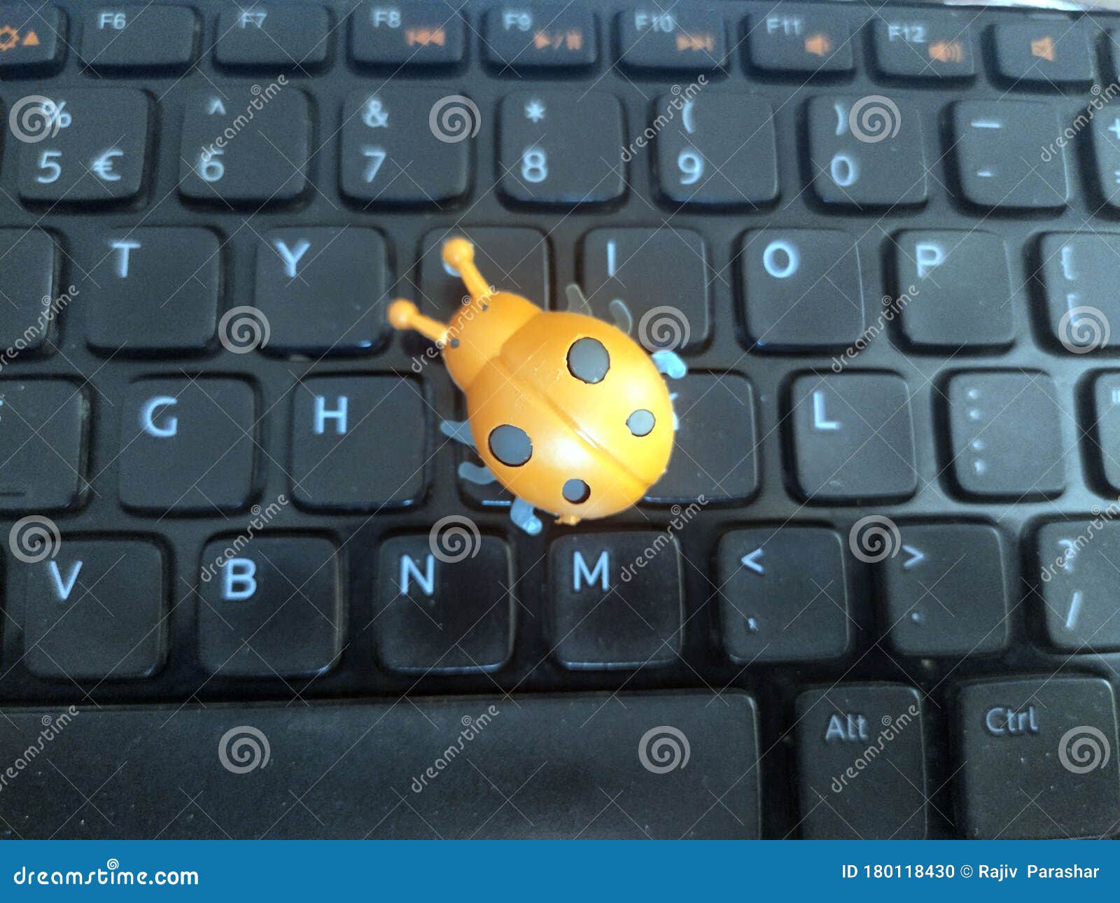 A Plastic Leady Bug on Black Laptop Keyboard Stock Photo Image of