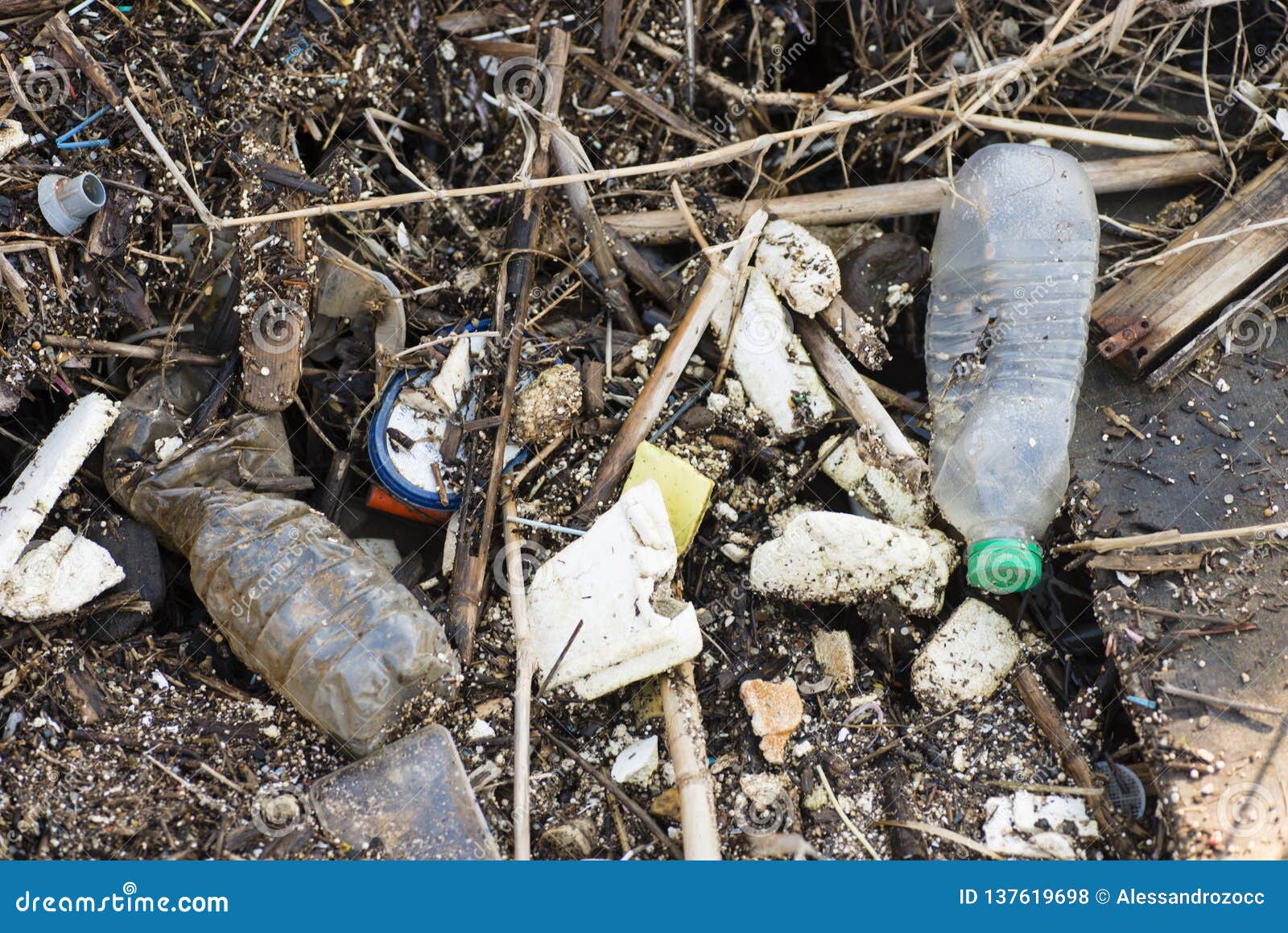 Plastic and Litter Material on Sand Beach Stock Photo Image of