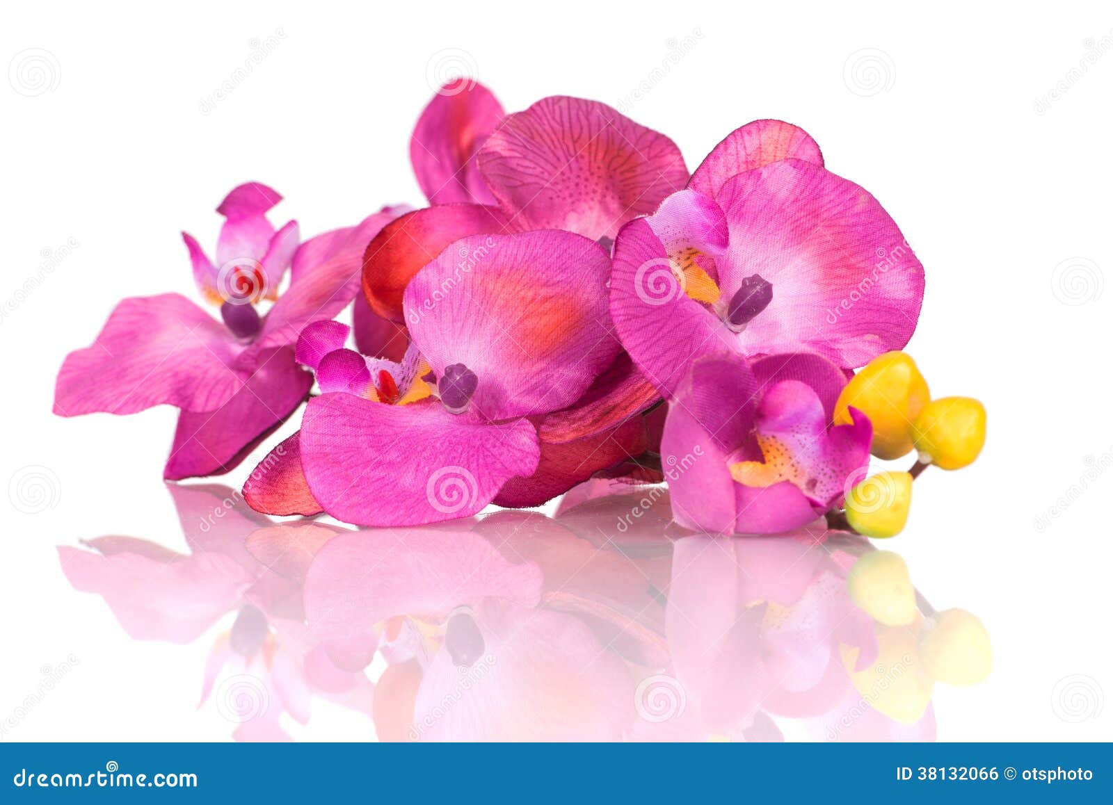 Plastic Orchid Flower Branch Stock Photo Image of floral, fake 38132066
