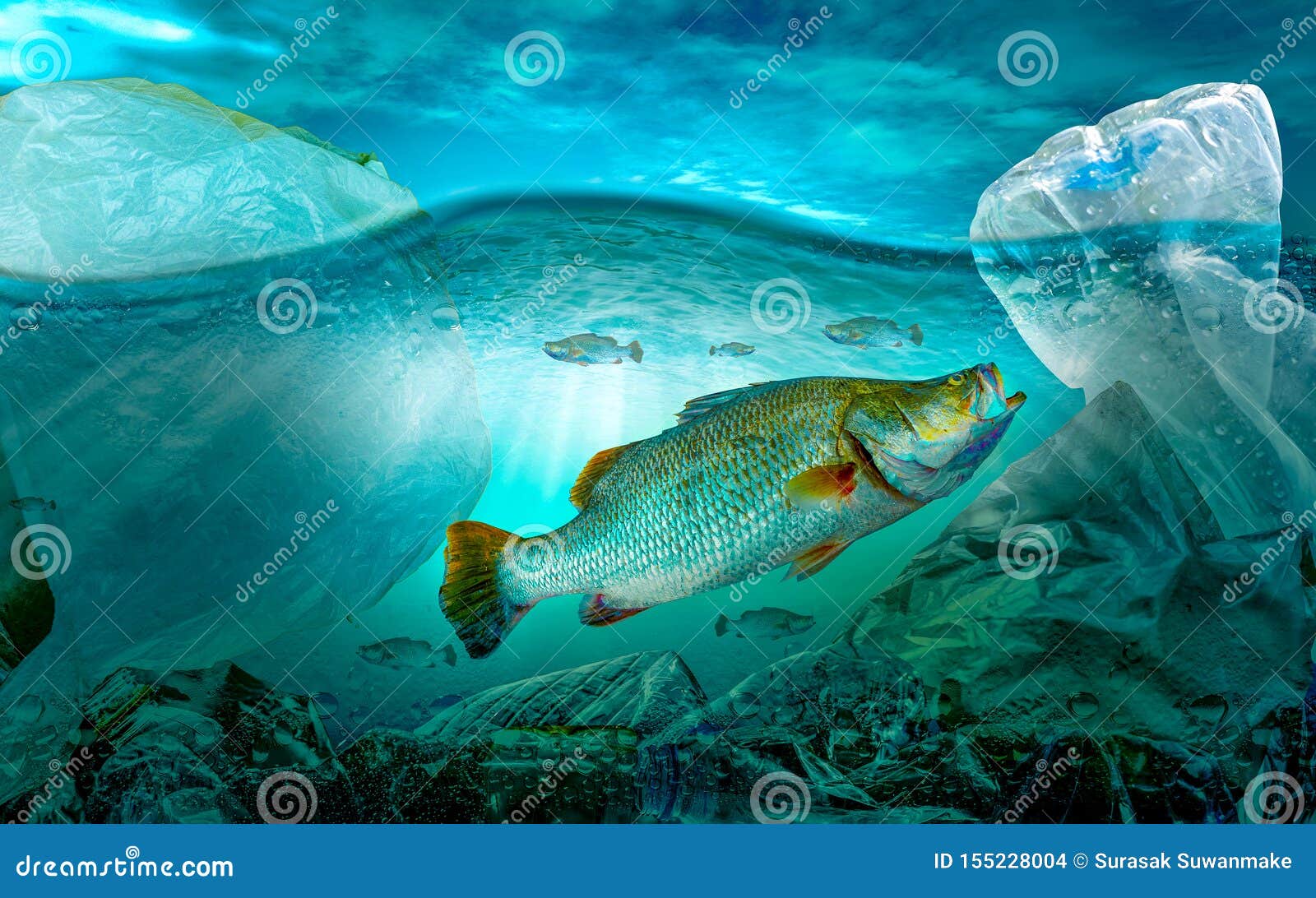 Plastic Pollution in Marine Environmental Problems Animals in the Sea  Cannot Live. and Cause Plastic Pollution in the Ocean Stock Photo - Image  of bottle, damage: 155228004