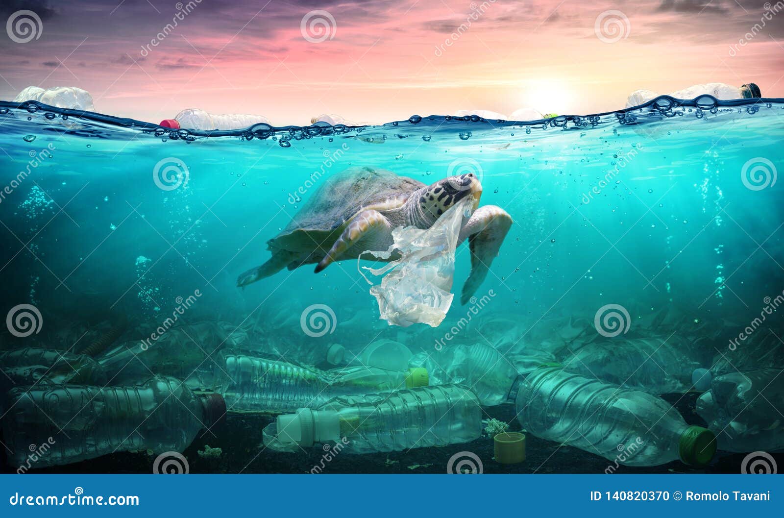 plastic pollution in ocean - turtle eat plastic bag
