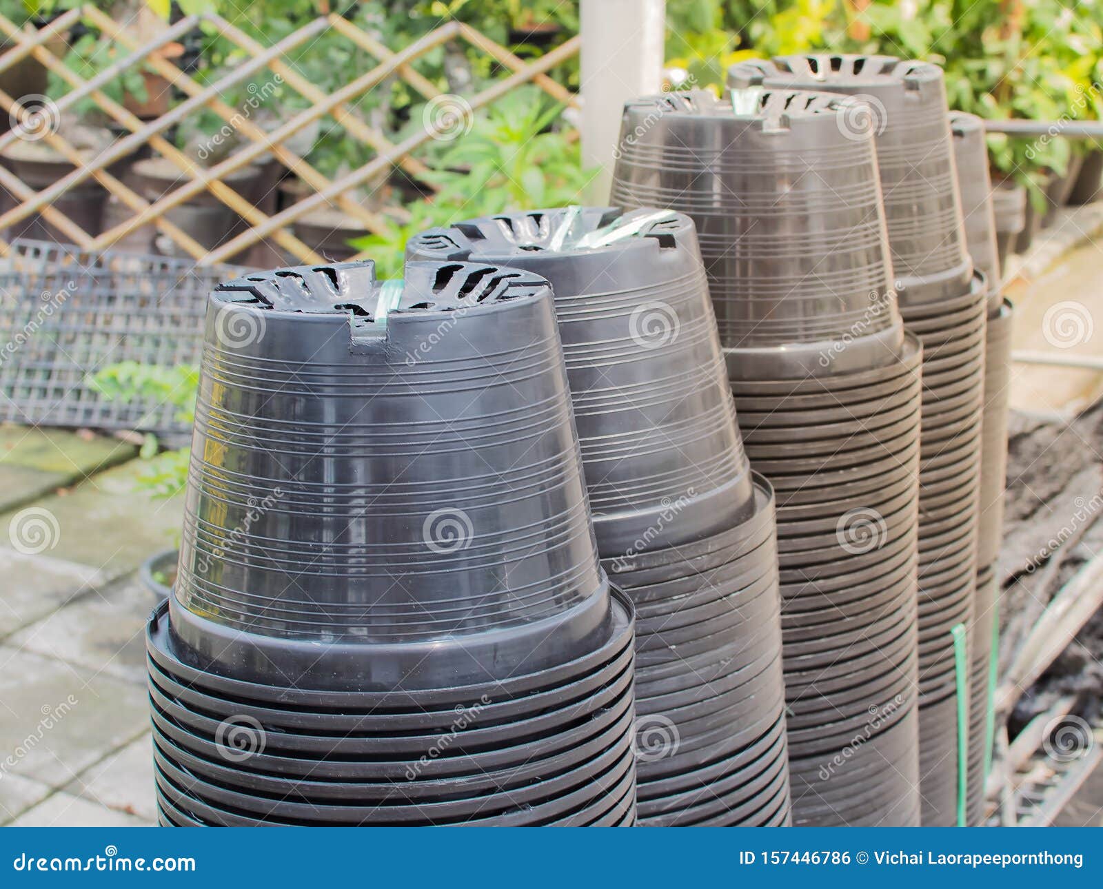 Plastic Pots for Seedlings or Planting of Trees in the Garden. Stock