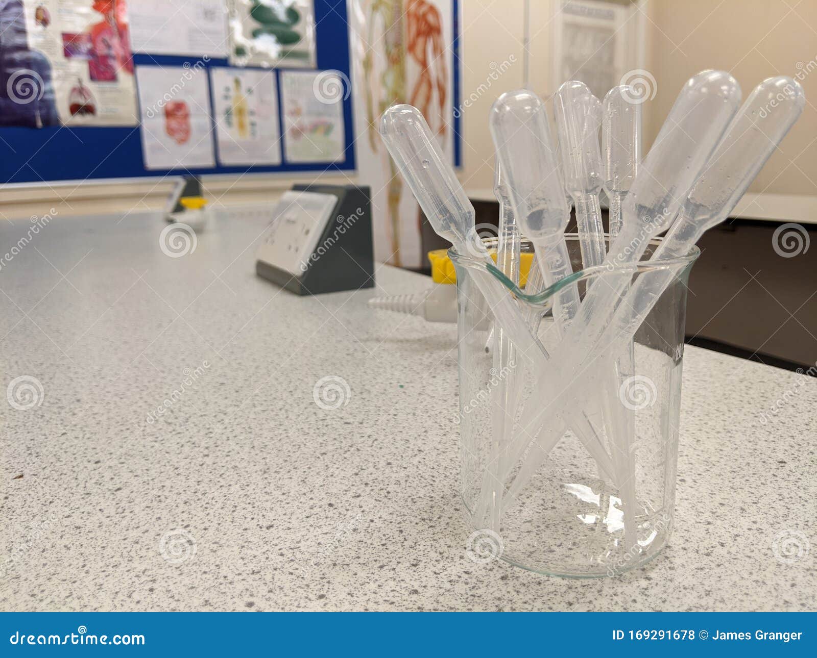 Plastic Science Pipettes Stored in a Glass Beaker Stock Photo Image