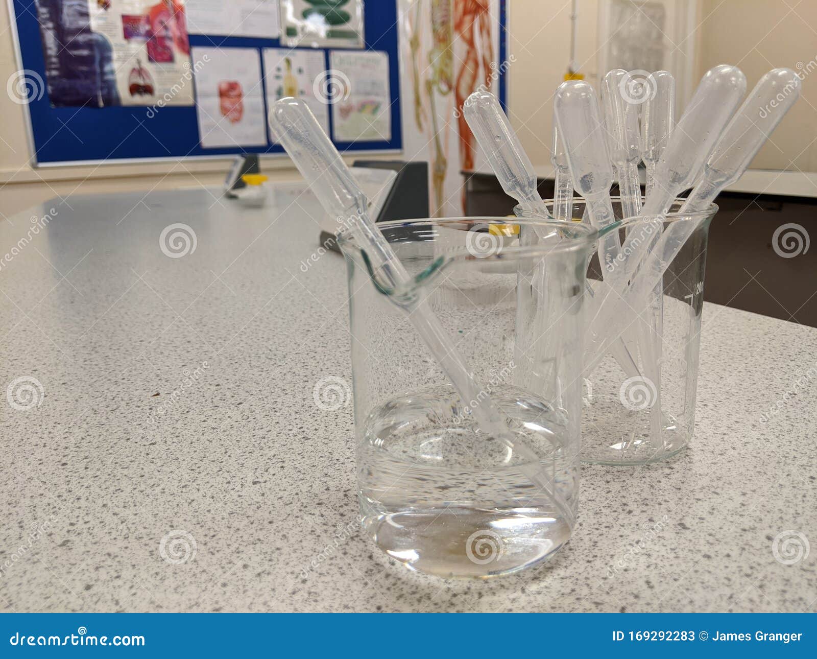 plastic science pipettes stored in 2 glass beakers