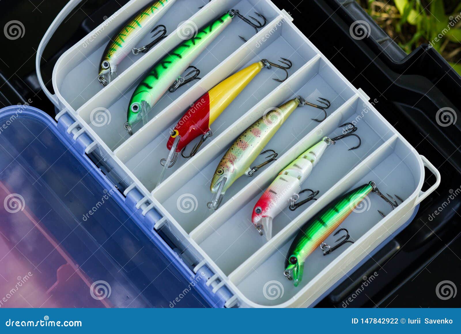 Plastic Tackle Box with Various Fishing Plastic Baits and Lures Stock Photo  - Image of bait, case: 147842922