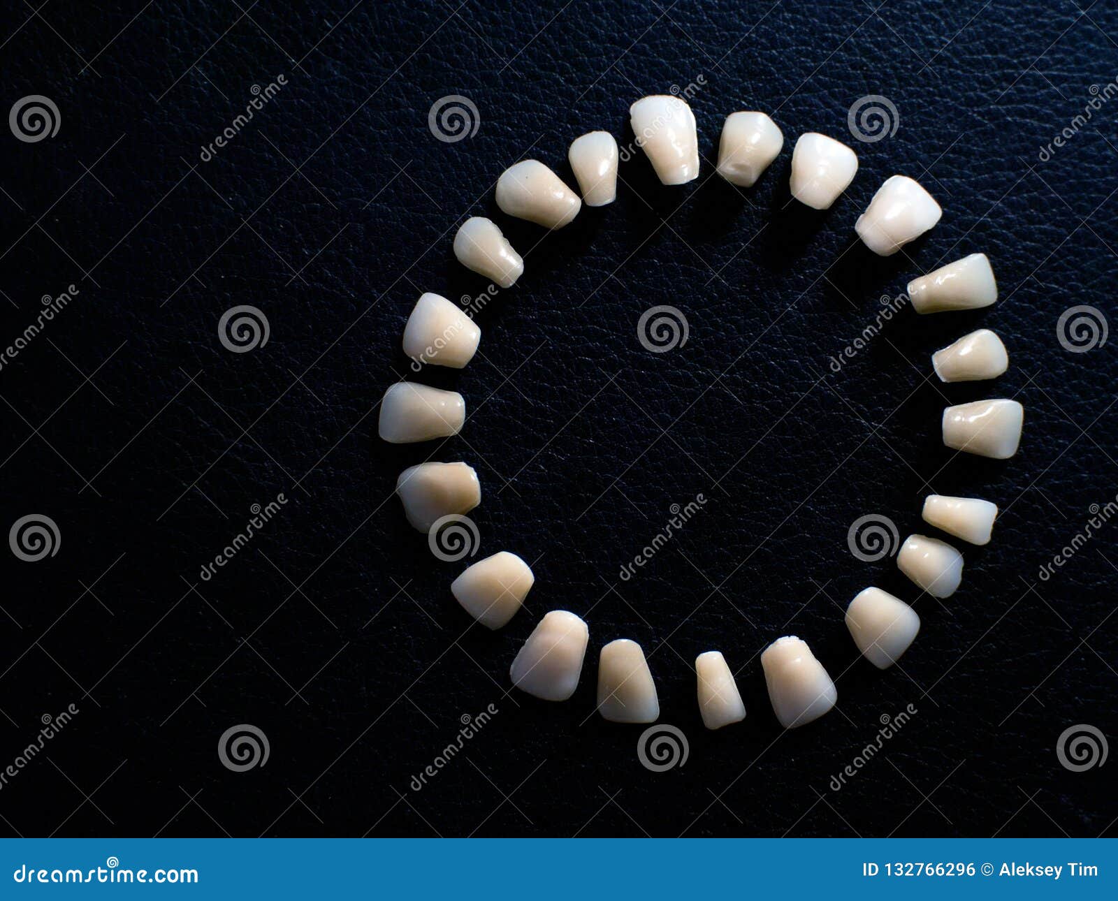Plastic Teeth on a Dark Background. Plastic Dentures Teeth Stock Photo