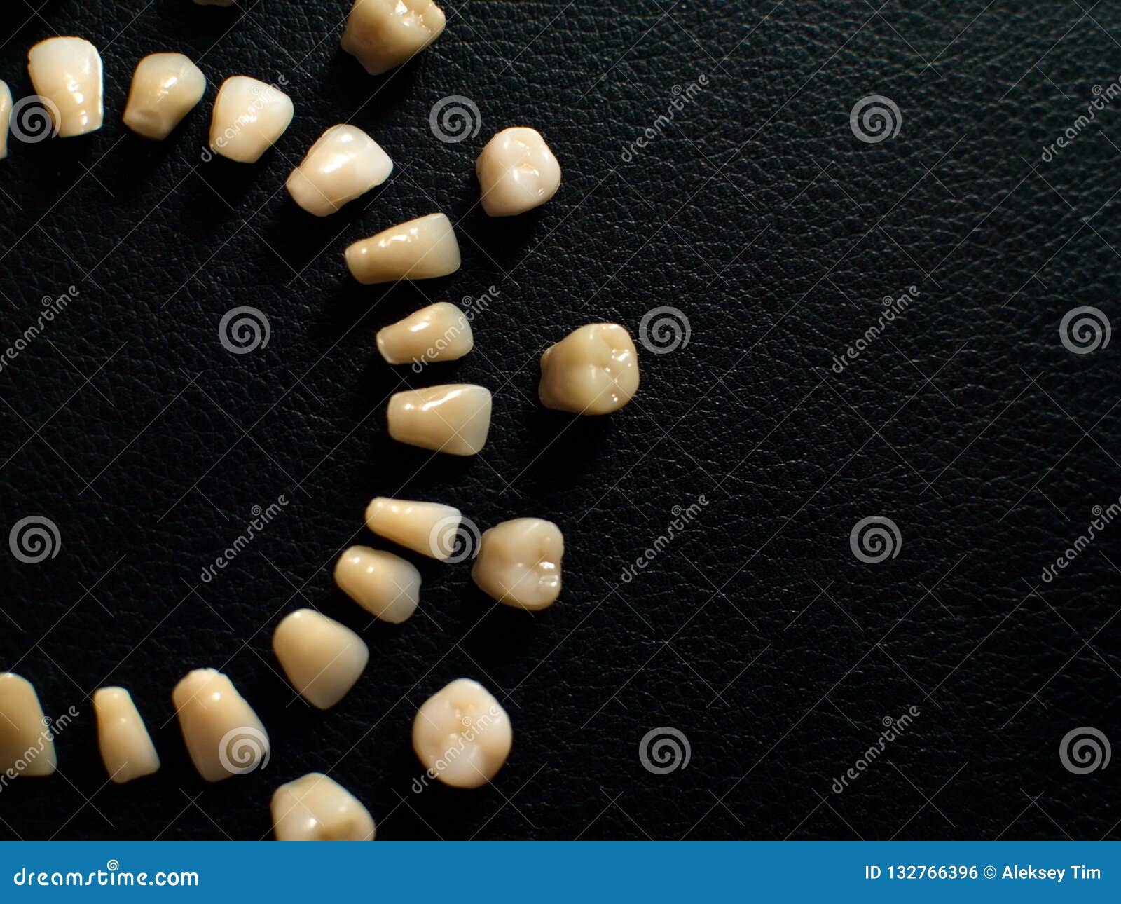 Plastic Teeth on a Dark Background. Plastic Dentures Teeth Stock Photo