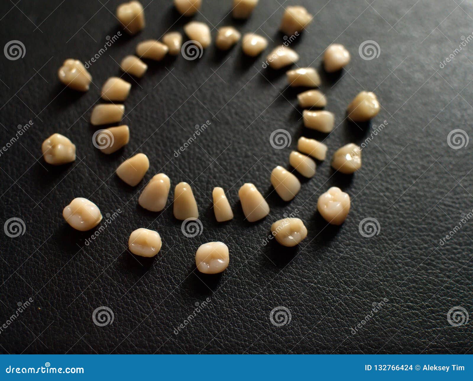 Plastic Teeth on a Dark Background. Plastic Dentures Teeth Stock Photo