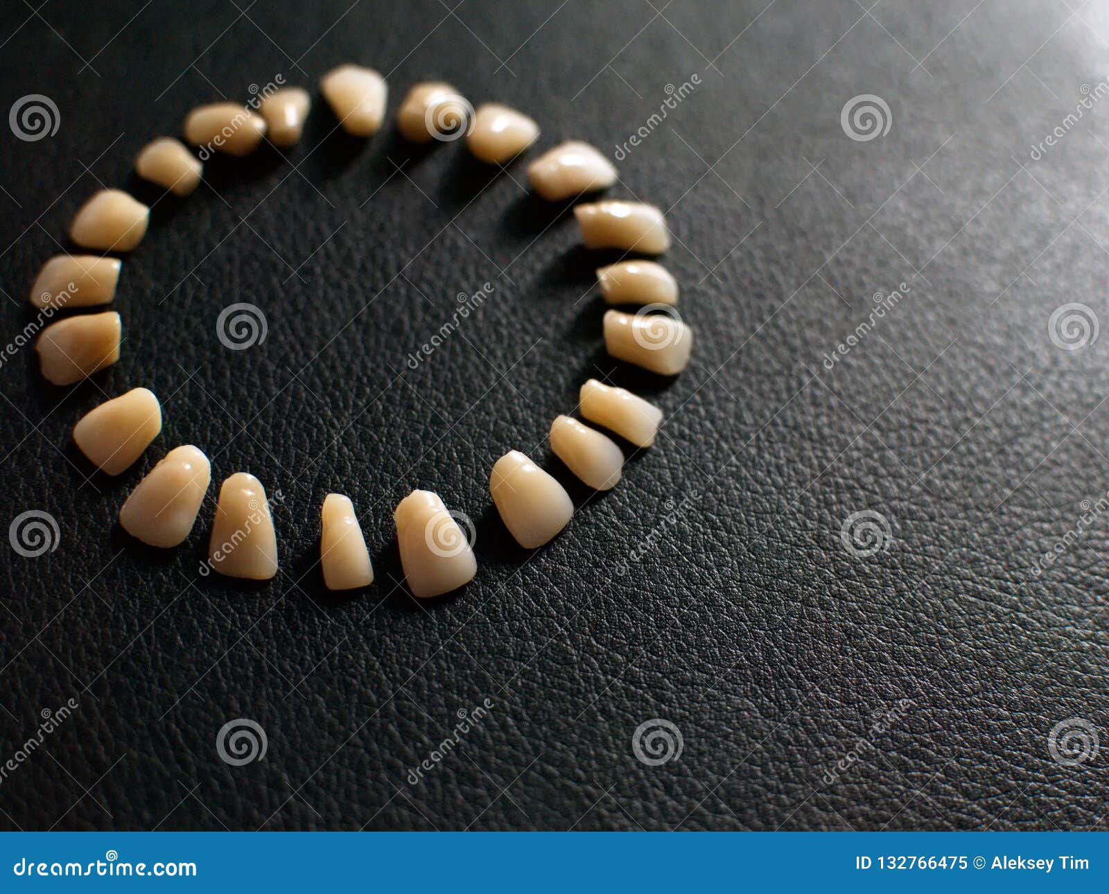 Plastic Teeth on a Dark Background. Plastic Dentures Teeth Stock Image