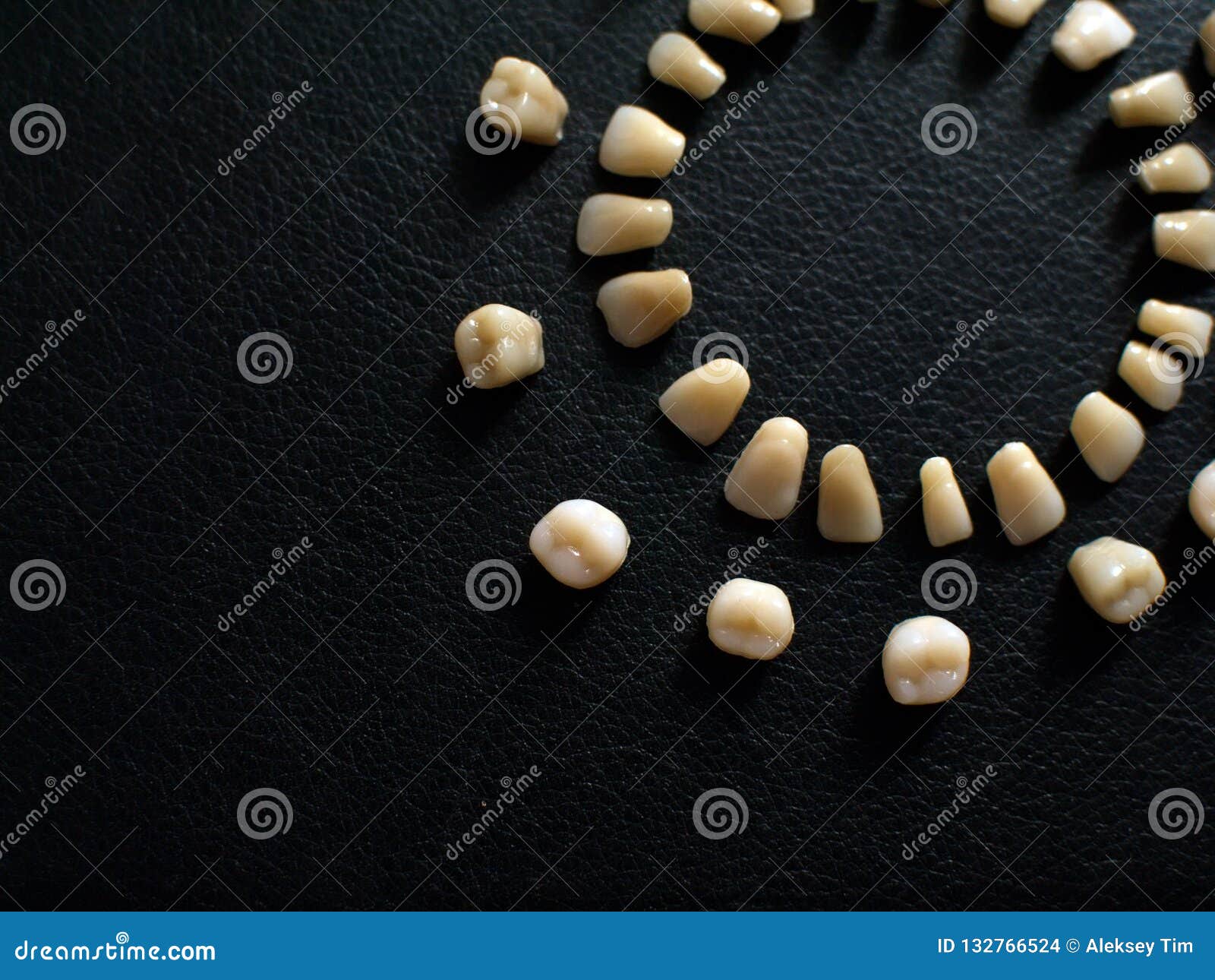 Plastic Teeth on a Dark Background. Plastic Dentures Teeth Stock Photo