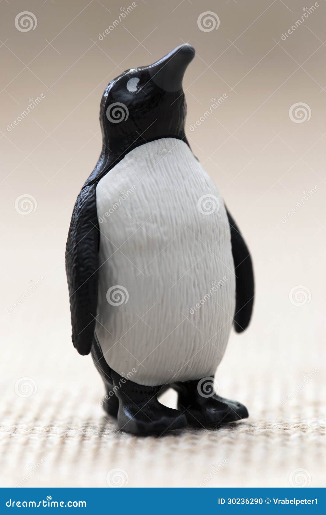 Plastic Toy Figurine Penguin Standing Stock Photo Image of concept