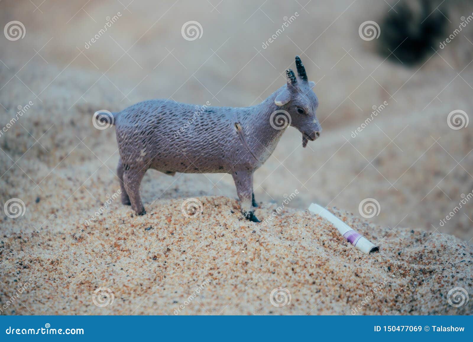 Plastic Toy in the Form of a Goat on the Sand Stock Image Image of