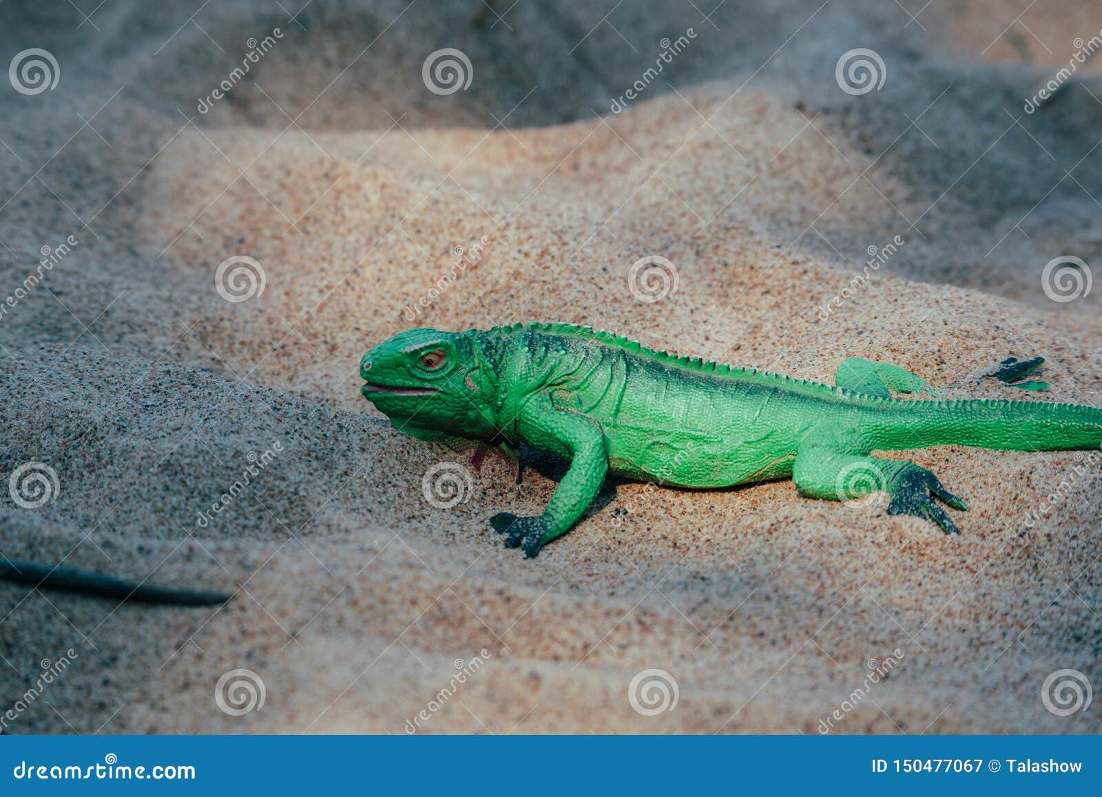 sand lizard toy