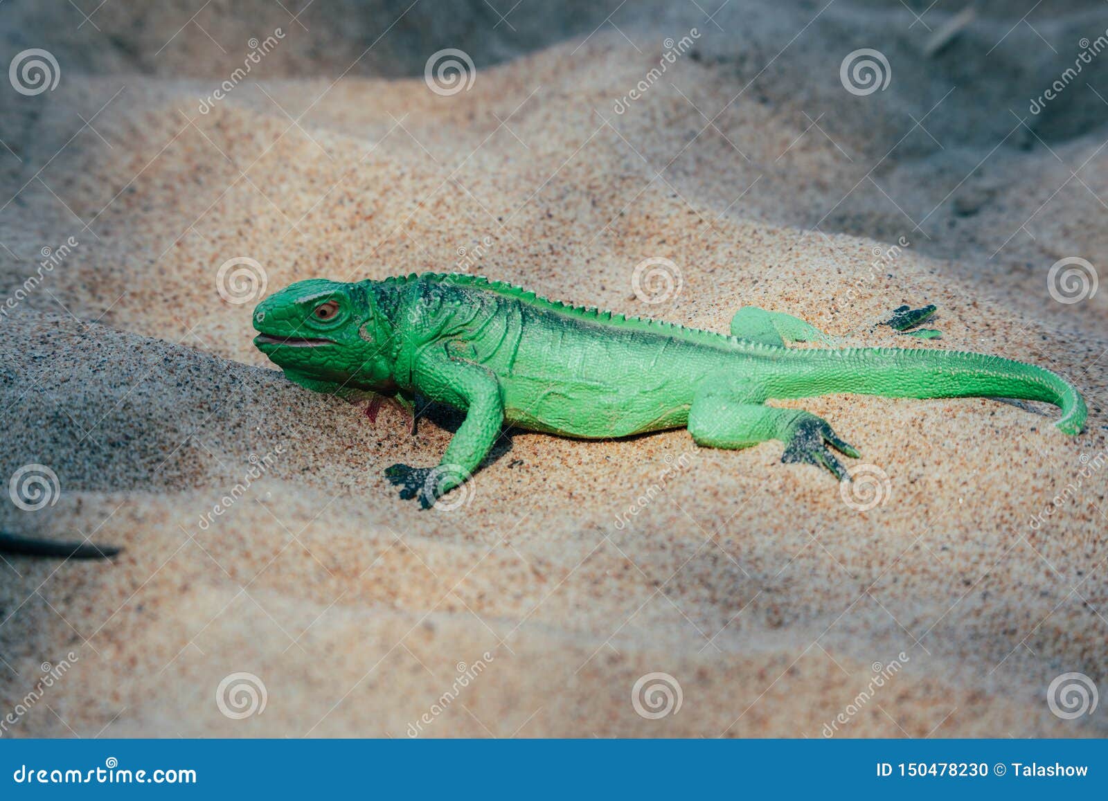 sand lizard toy