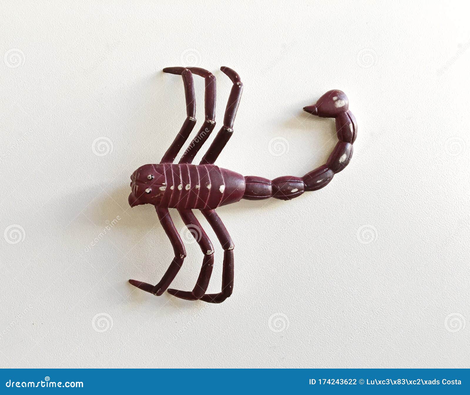 Plastic toy scorpion stock photo. Image of venom, arachnid - 174243622