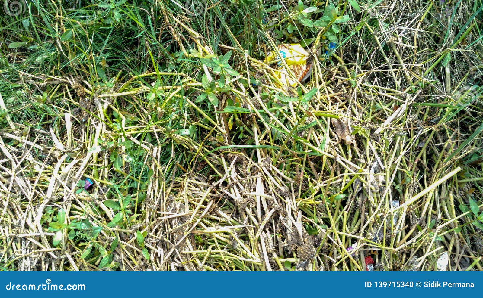 Plastic Waste from Gutter Make the Flow of Water Clogged. Stock Photo