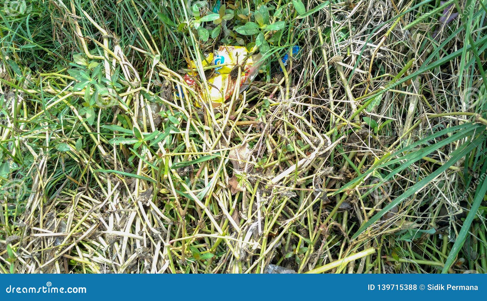 Plastic Waste from Gutter Make the Flow of Water Clogged. Stock Photo