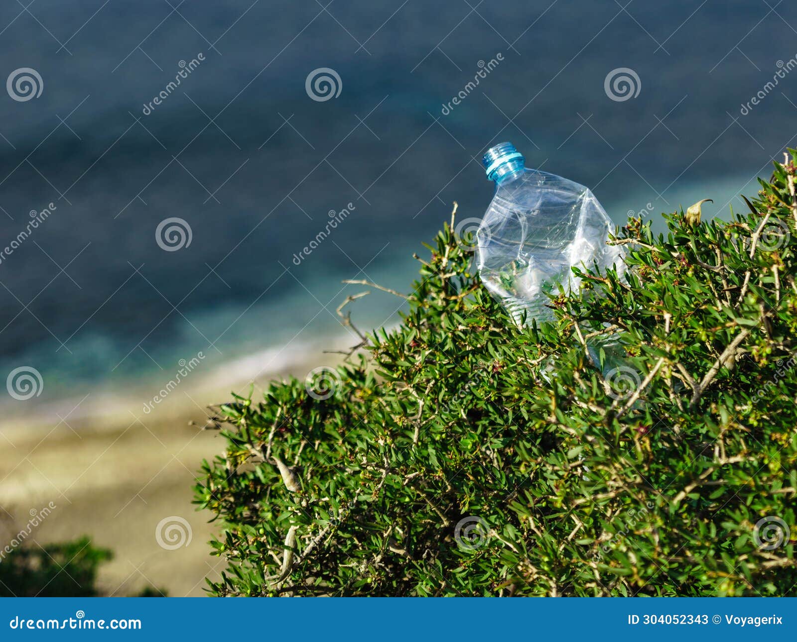 Plastic Used Water Bottle on Nature Stock Image Image of environment