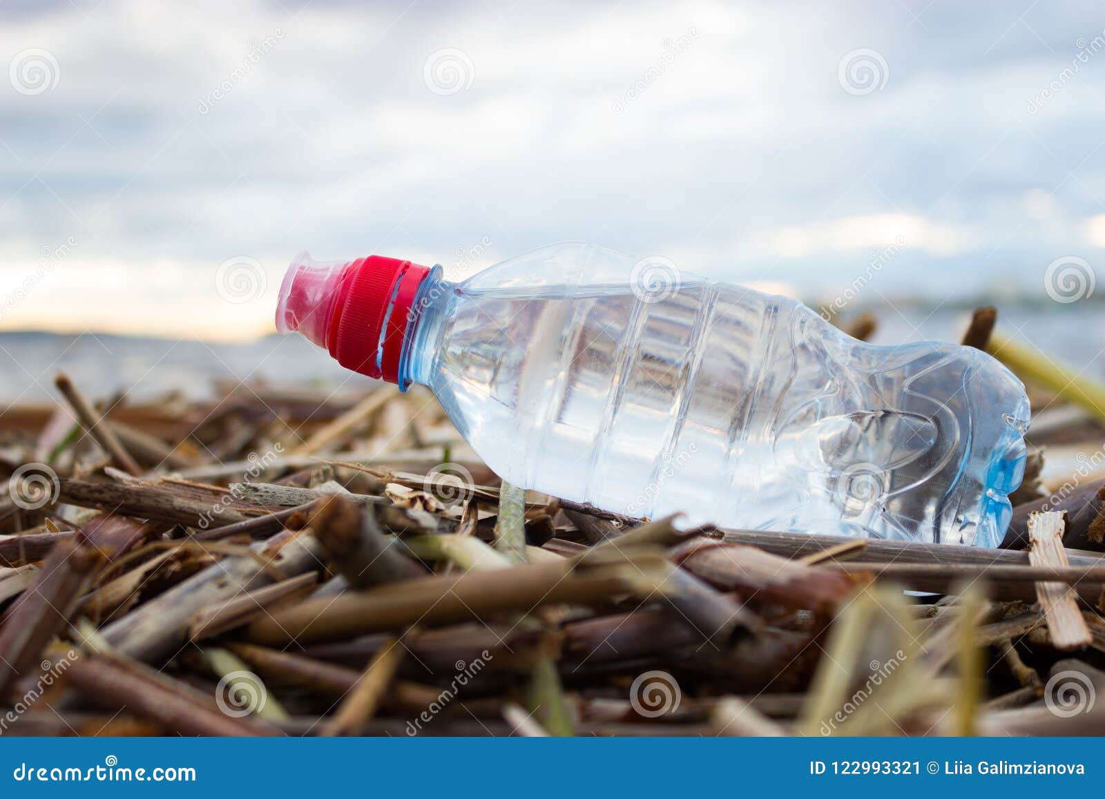 plastic water bottles pollute ocean