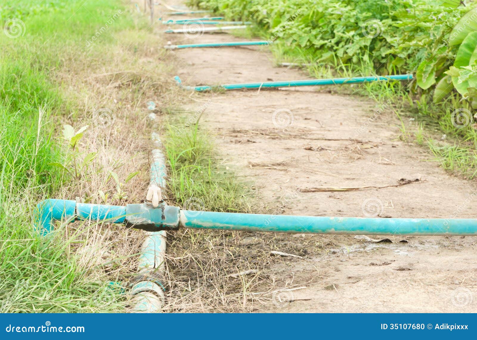 Plastic water pipe. stock photo. Image of growth, outside 35107680