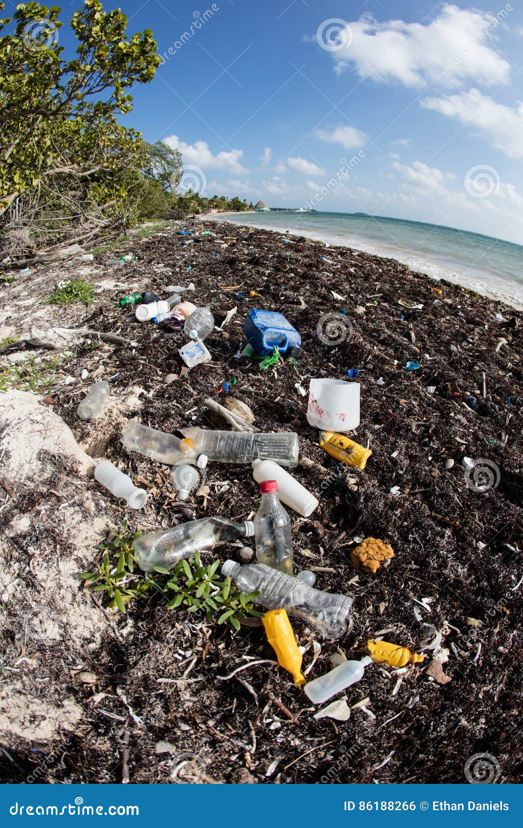 Plastics Washed Onto Caribbean Beach Stock Photo Image of currents