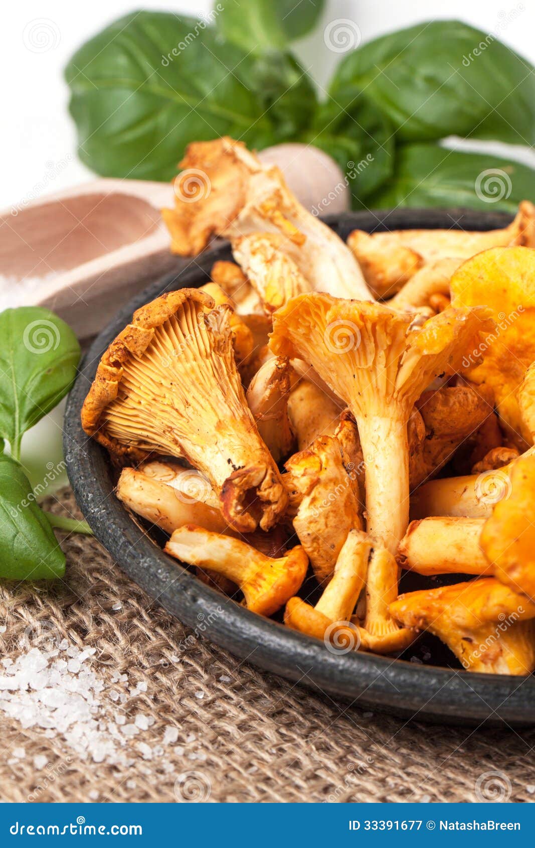 Plate of chanterelles stock image. Image of salt, delicious 33391677