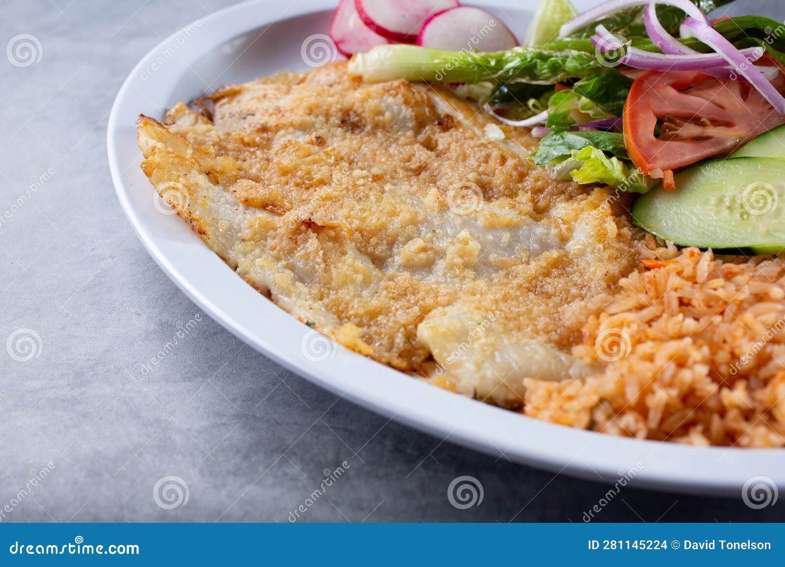 Plate of Deep Fried Tilapia Filet, Mexican Food Stock Photo Image of