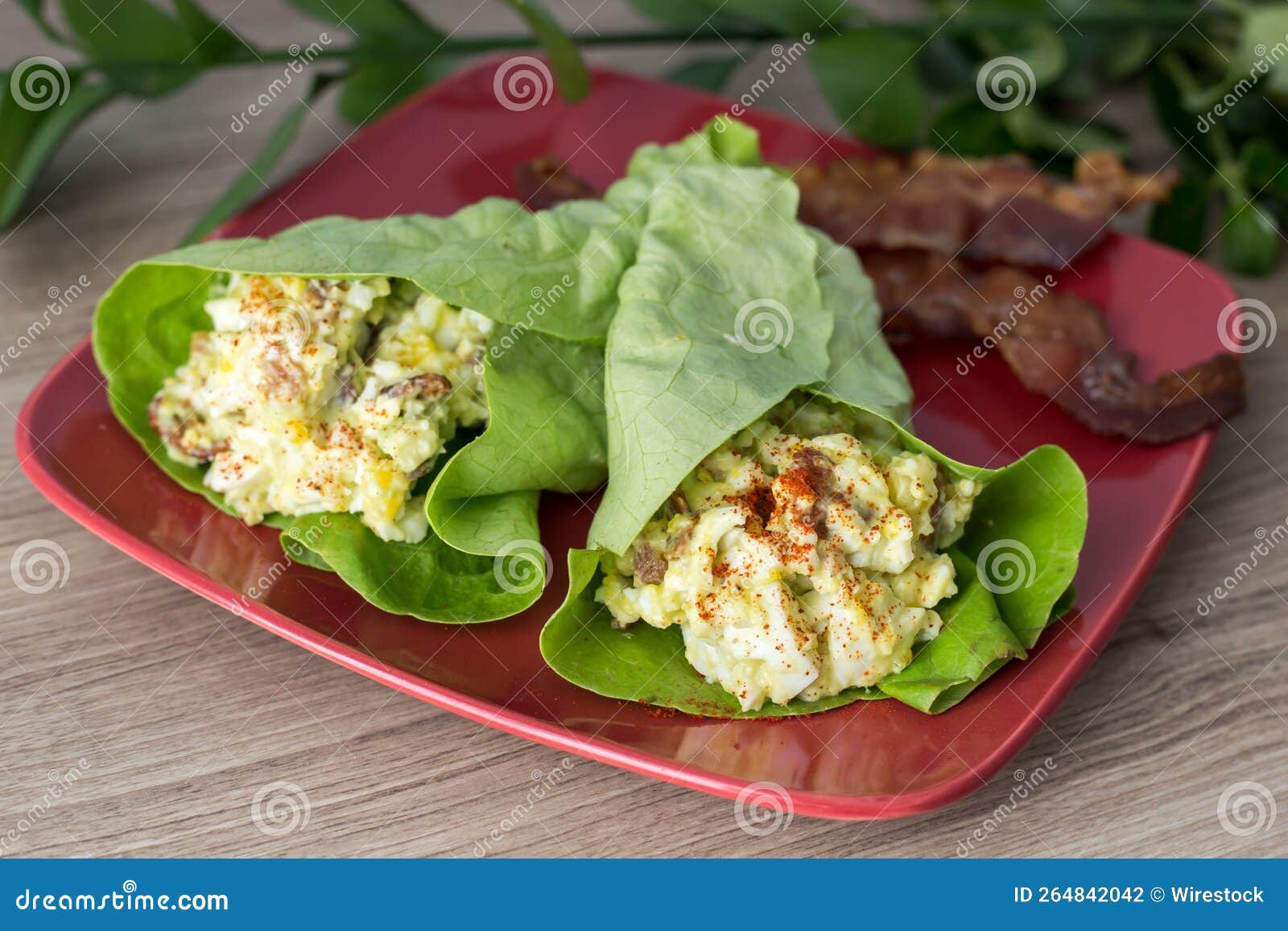 Plate with Egg Salad Wrapped in Lettuce Stock Photo Image of tasty, plate 264842042