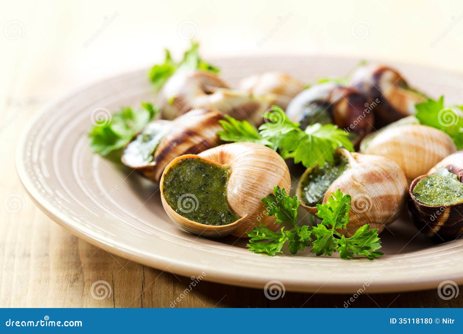 Plate of escargots stock photo. Image of background, escargot 35118180