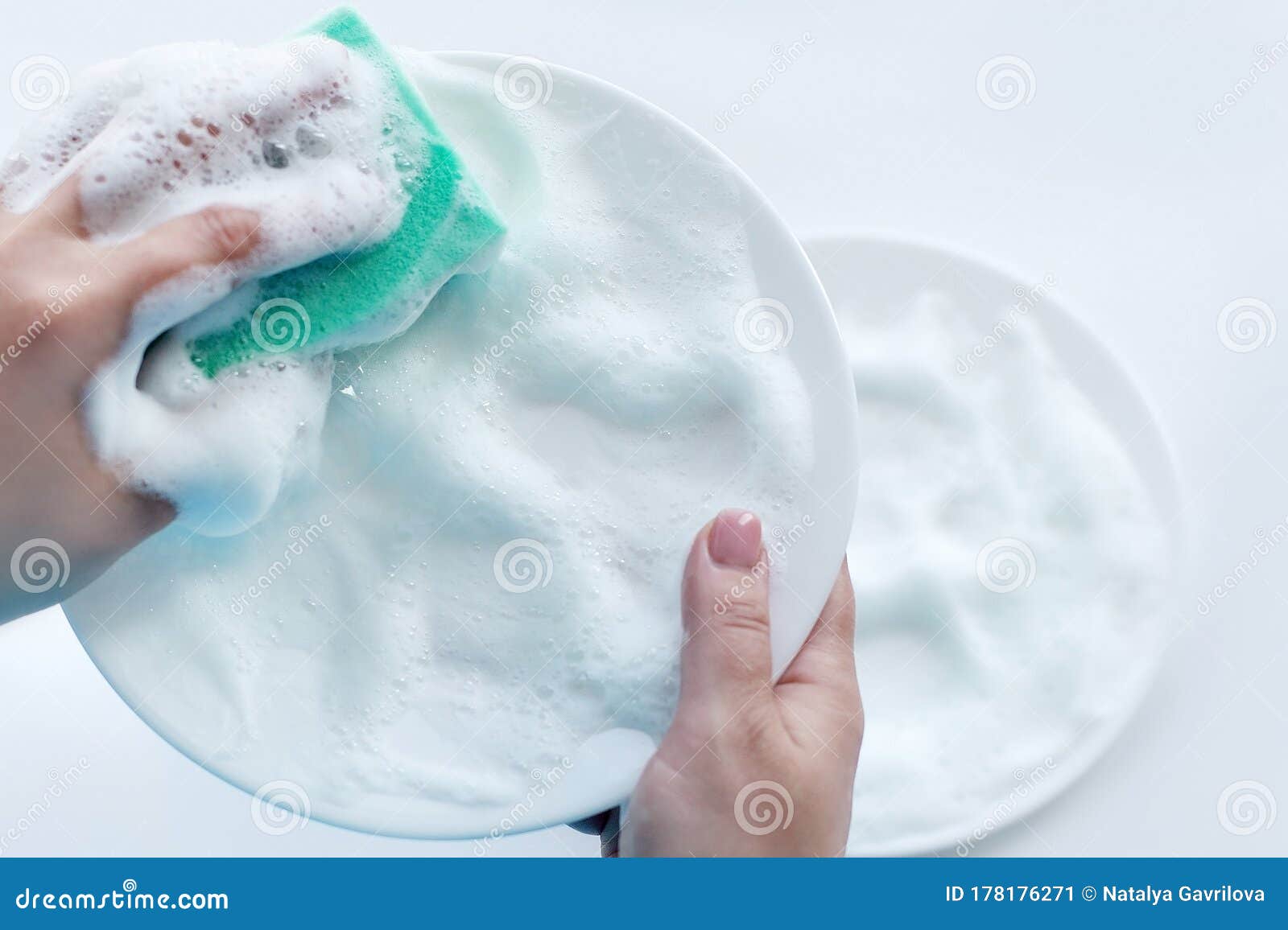 Plate in Foam in Hand, Washing Dishes Stock Image Image of adult