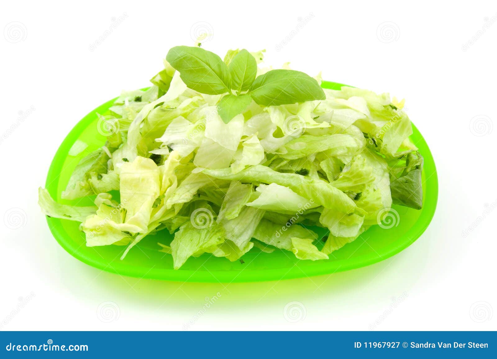 Plate With Fresh Lettuce Salad Stock Image Image of green, leaf 11967927