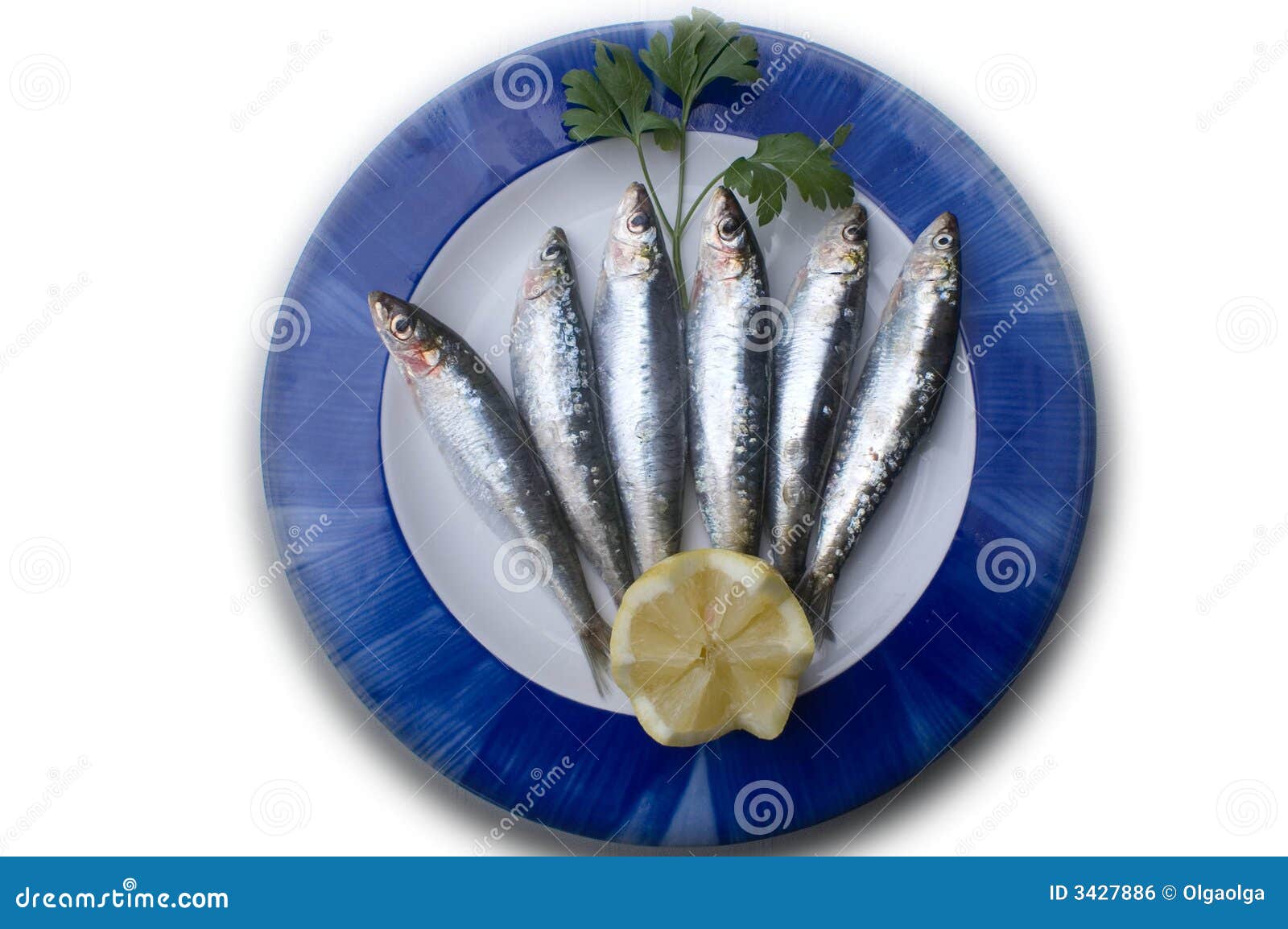 Plate of fresh sardines stock photo. Image of dinner, fresh 3427886