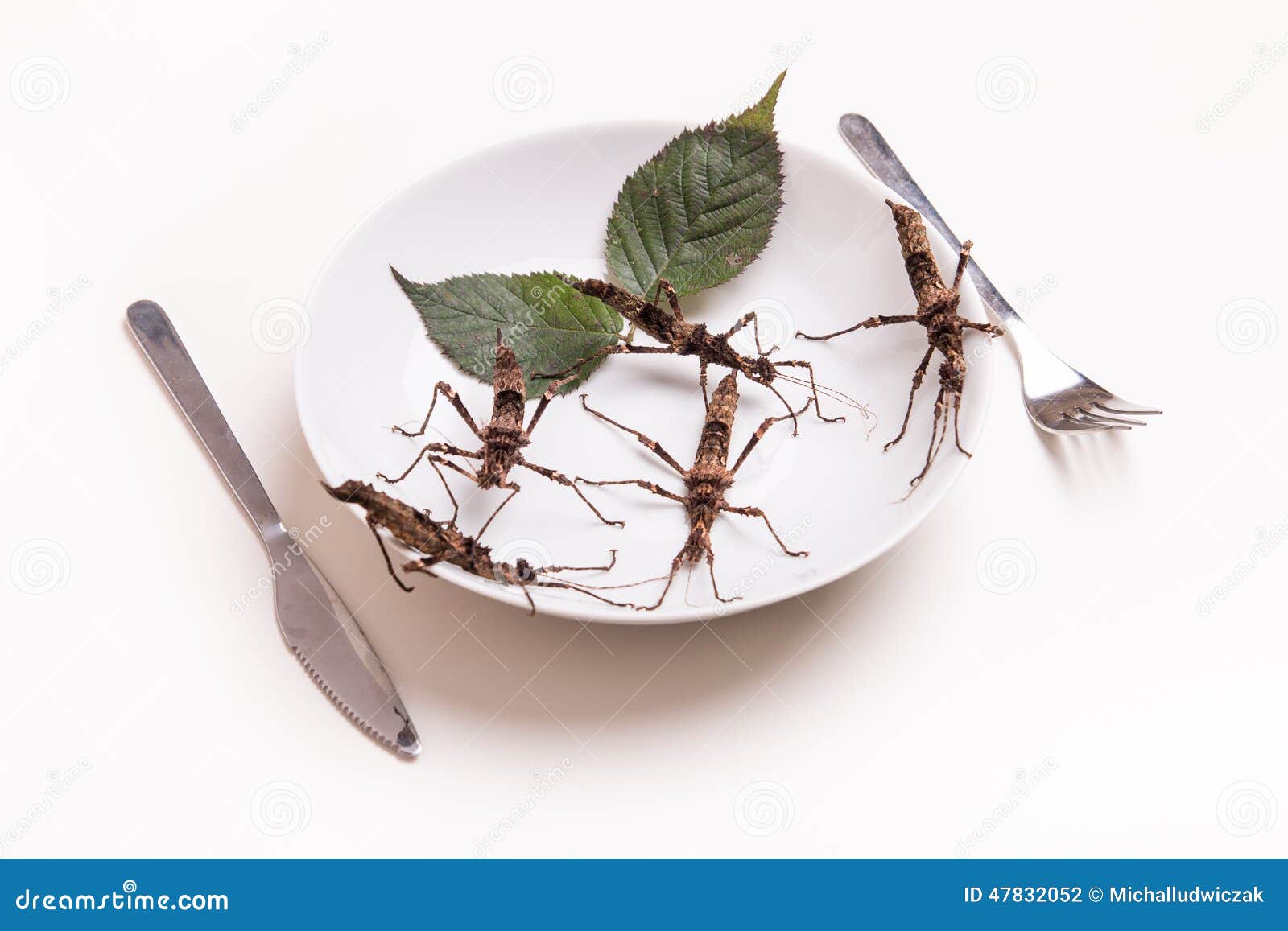 Plate Full of Insects in Insect To Eat Restaurant Stock Photo Image