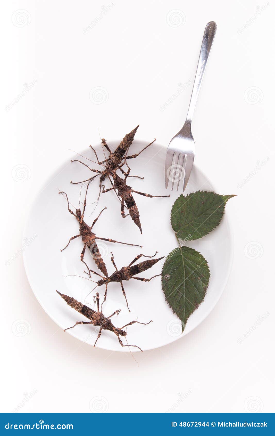 Plate Full of Insects in Insect To Eat Restaurant Stock Photo Image
