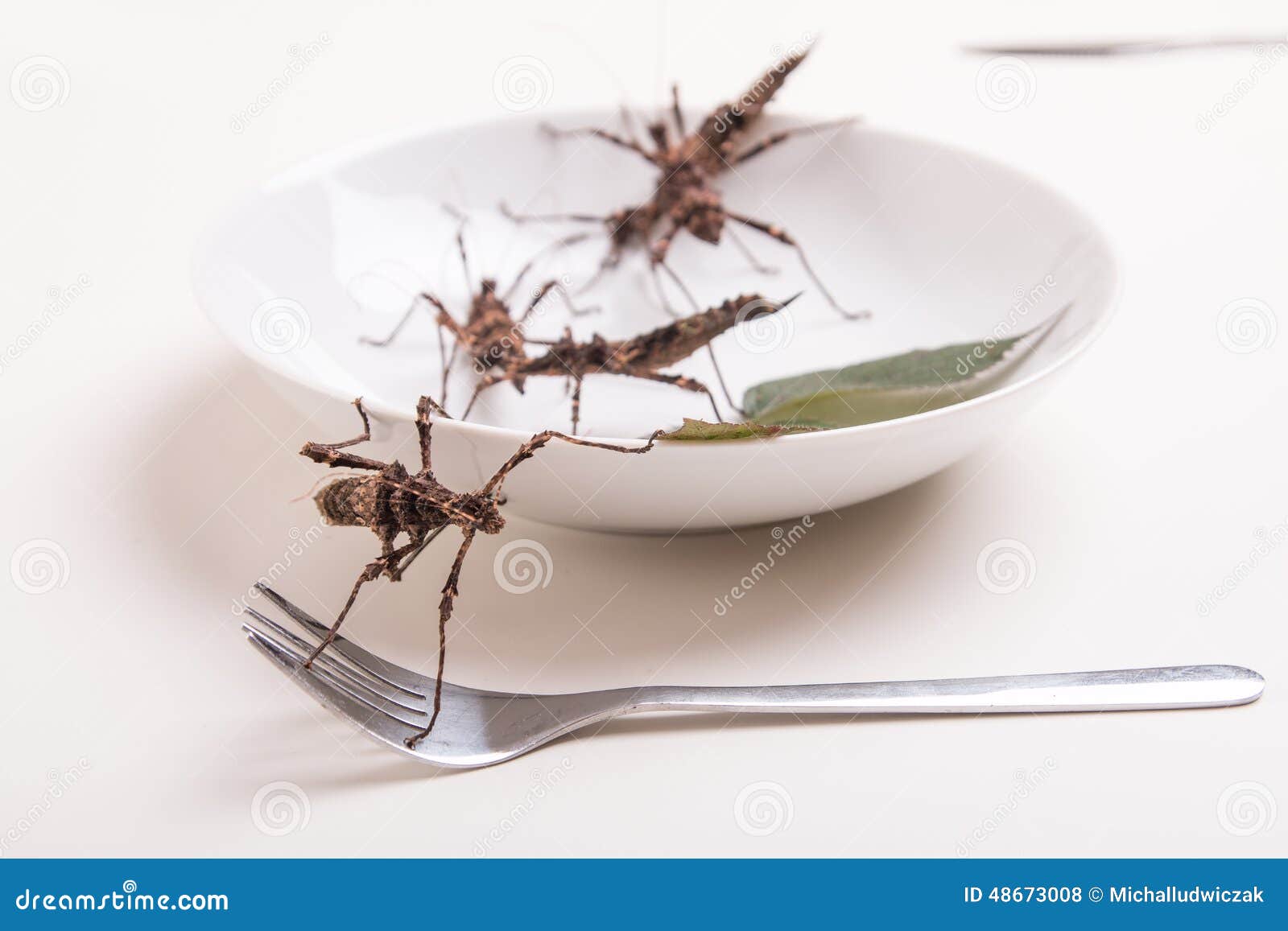 Plate Full of Insects in Insect To Eat Restaurant Stock Photo Image