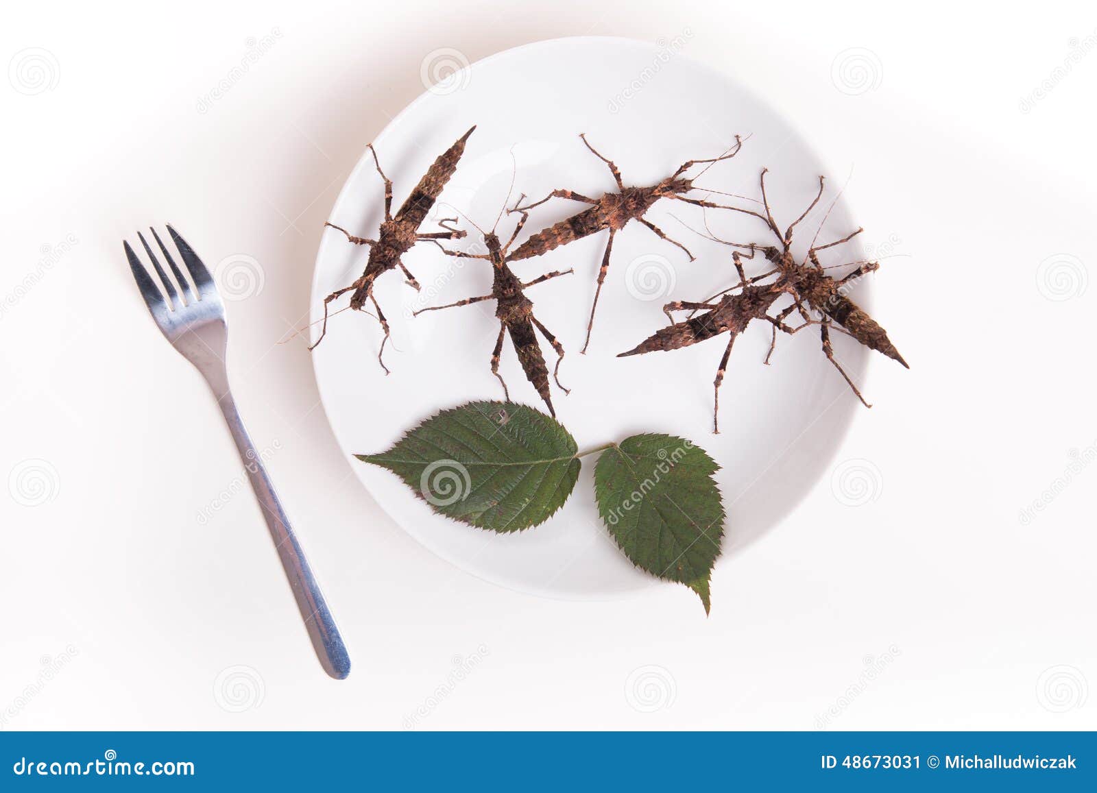 Plate Full of Insects in Insect To Eat Restaurant Stock Image Image