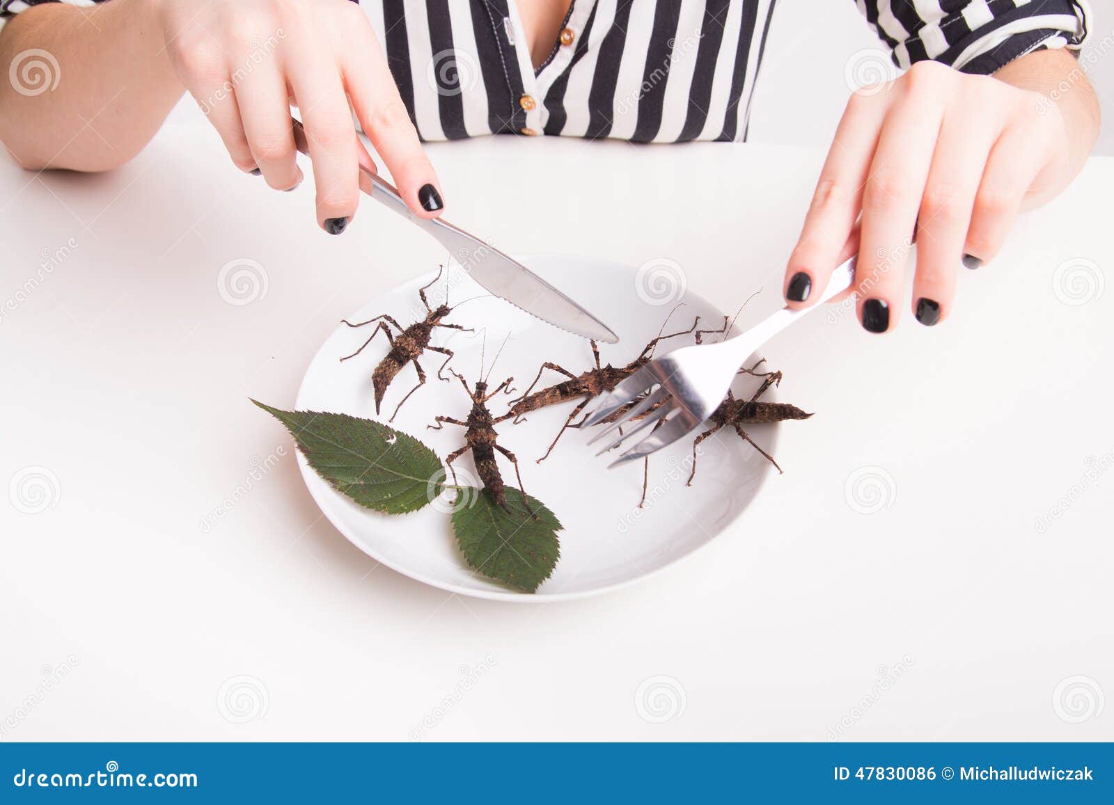 Plate Full of Insects in the Insect To Eat Restaurant Stock Photo