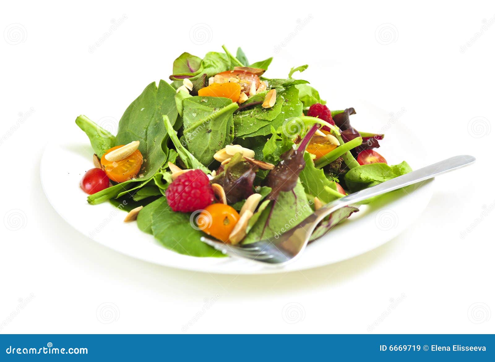 Plate of Green Salad on White Background Stock Image Image of leafy
