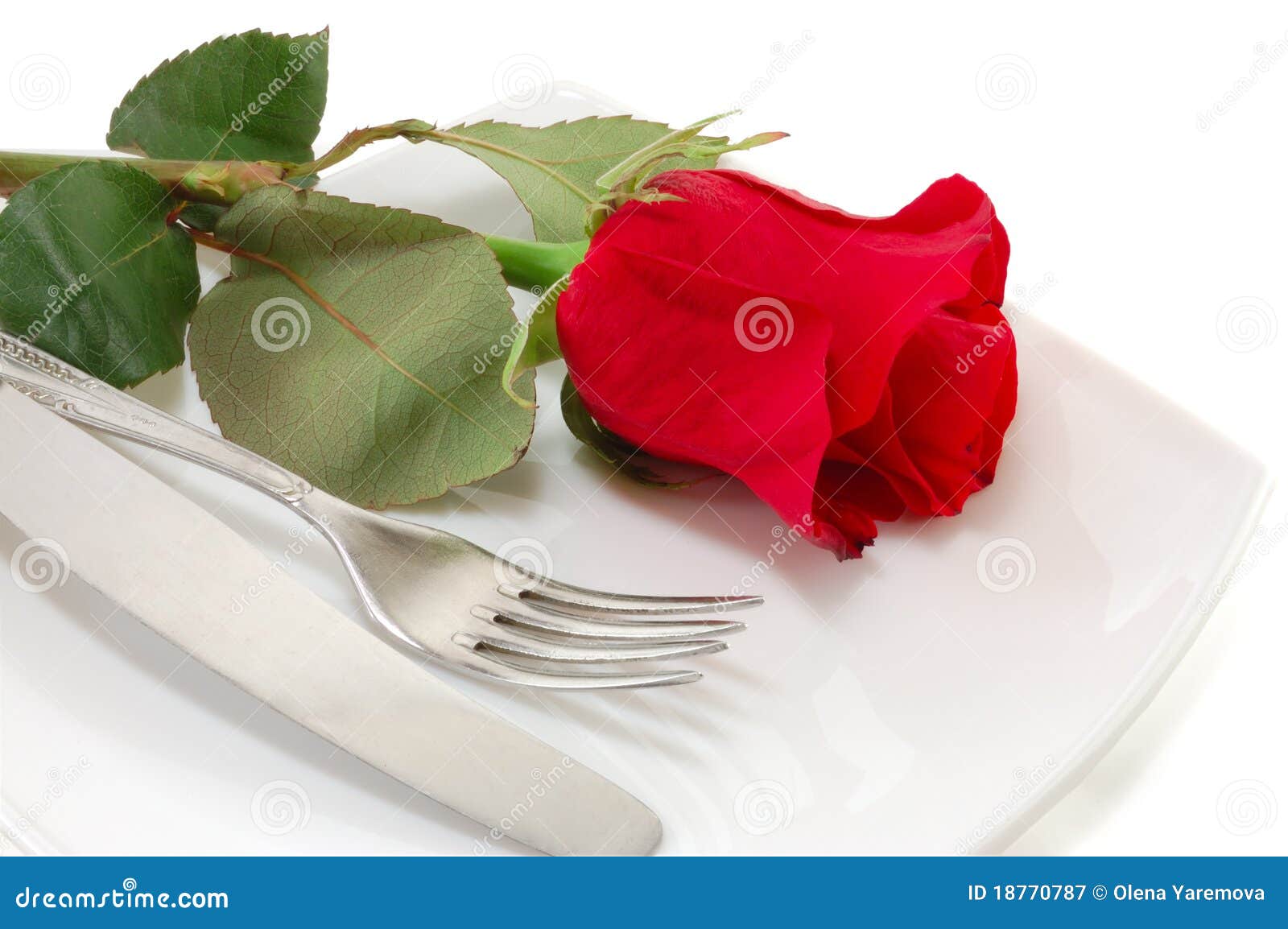 Plate with a Knife, Fork and a Red Rose Stock Image Image of rose