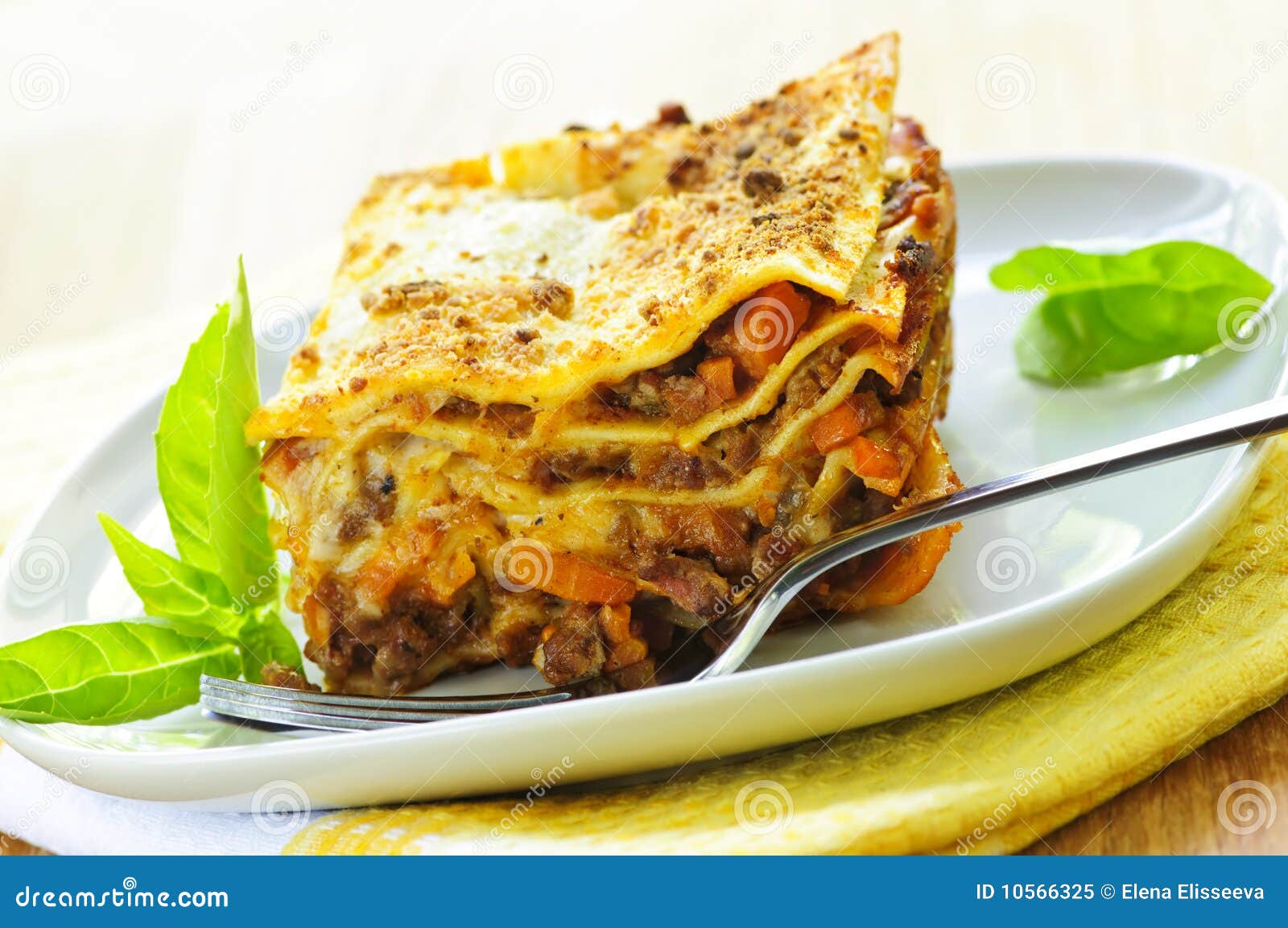 Plate of lasagna stock image. Image of homemade, fork - 10566325