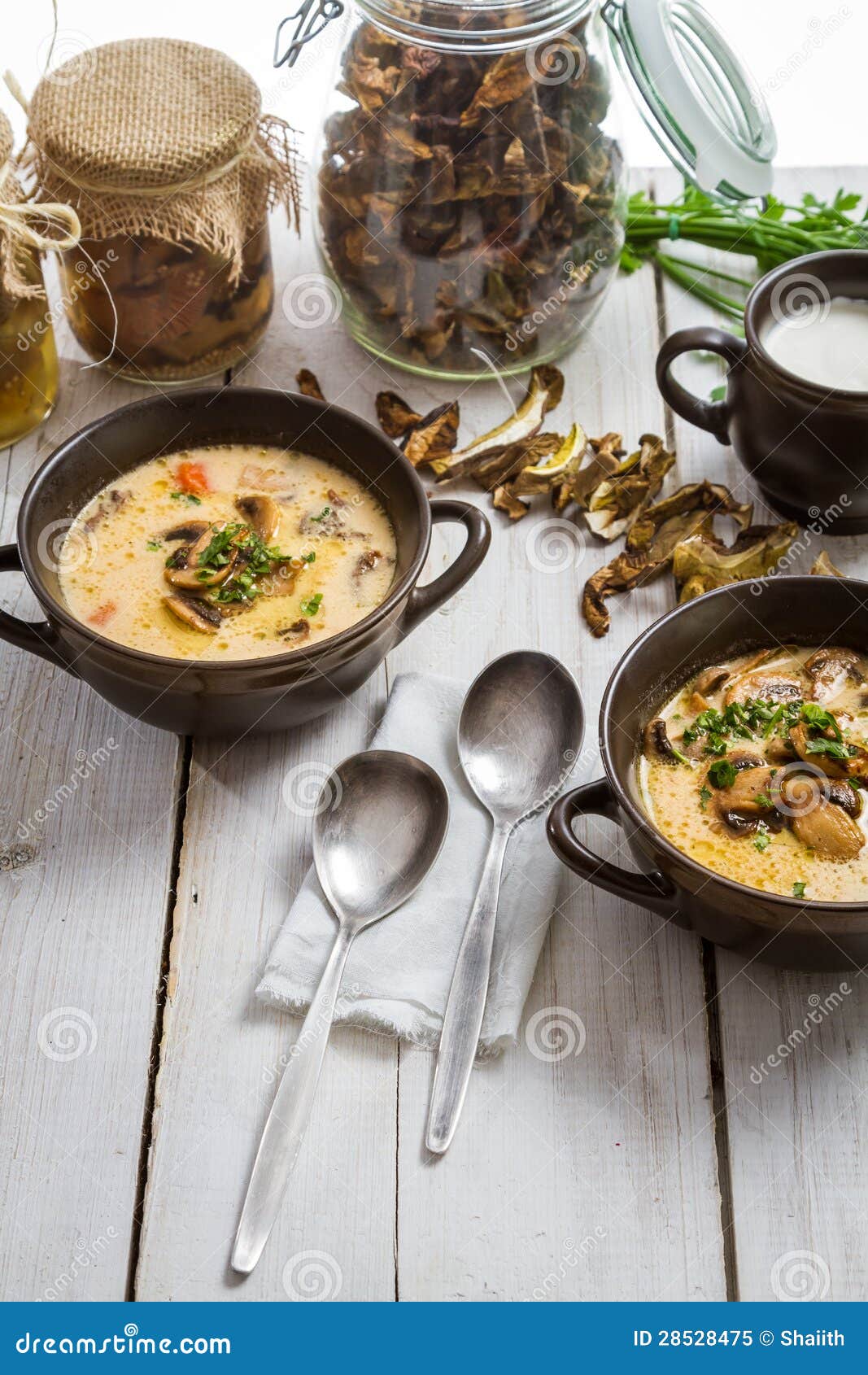 Plate of Mushroom Soup with Dried Mushrooms Stock Image Image of edible, bowl 28528475