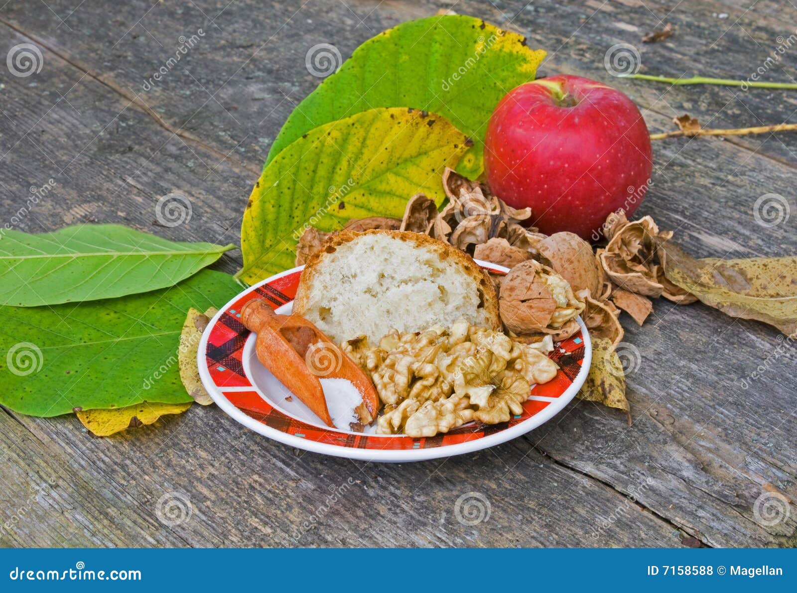 Plate with nuts stock photo. Image of salt, natural, food - 7158588