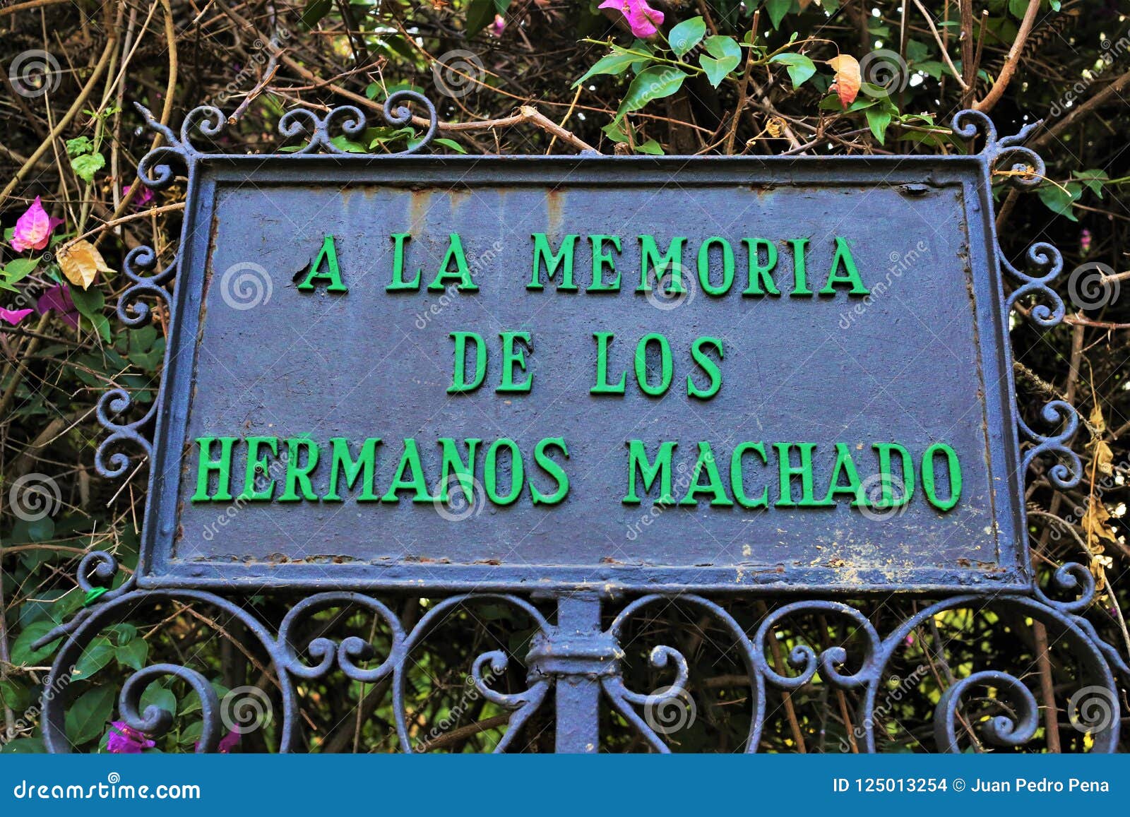 plate to the memory of the machado brothers