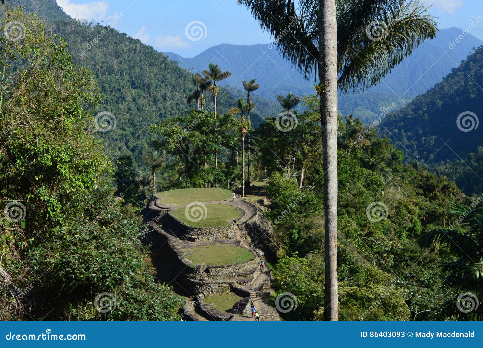 la ciudad perdida the lost city, colombia