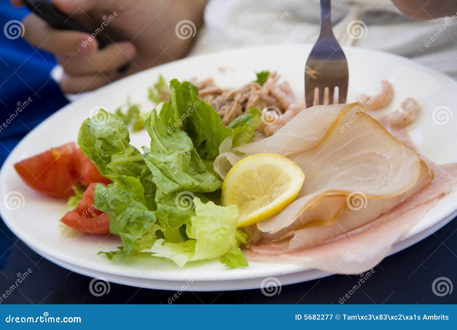 A plateful of food stock image. Image of salmon, salad - 5682277