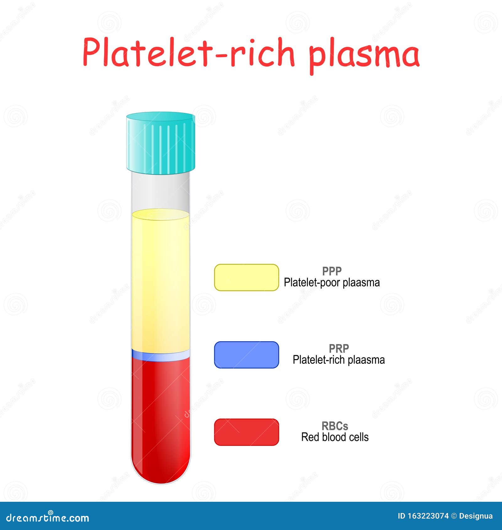 Platelet-rich Plasma. Layers of Blood in Test Tube Stock Vector