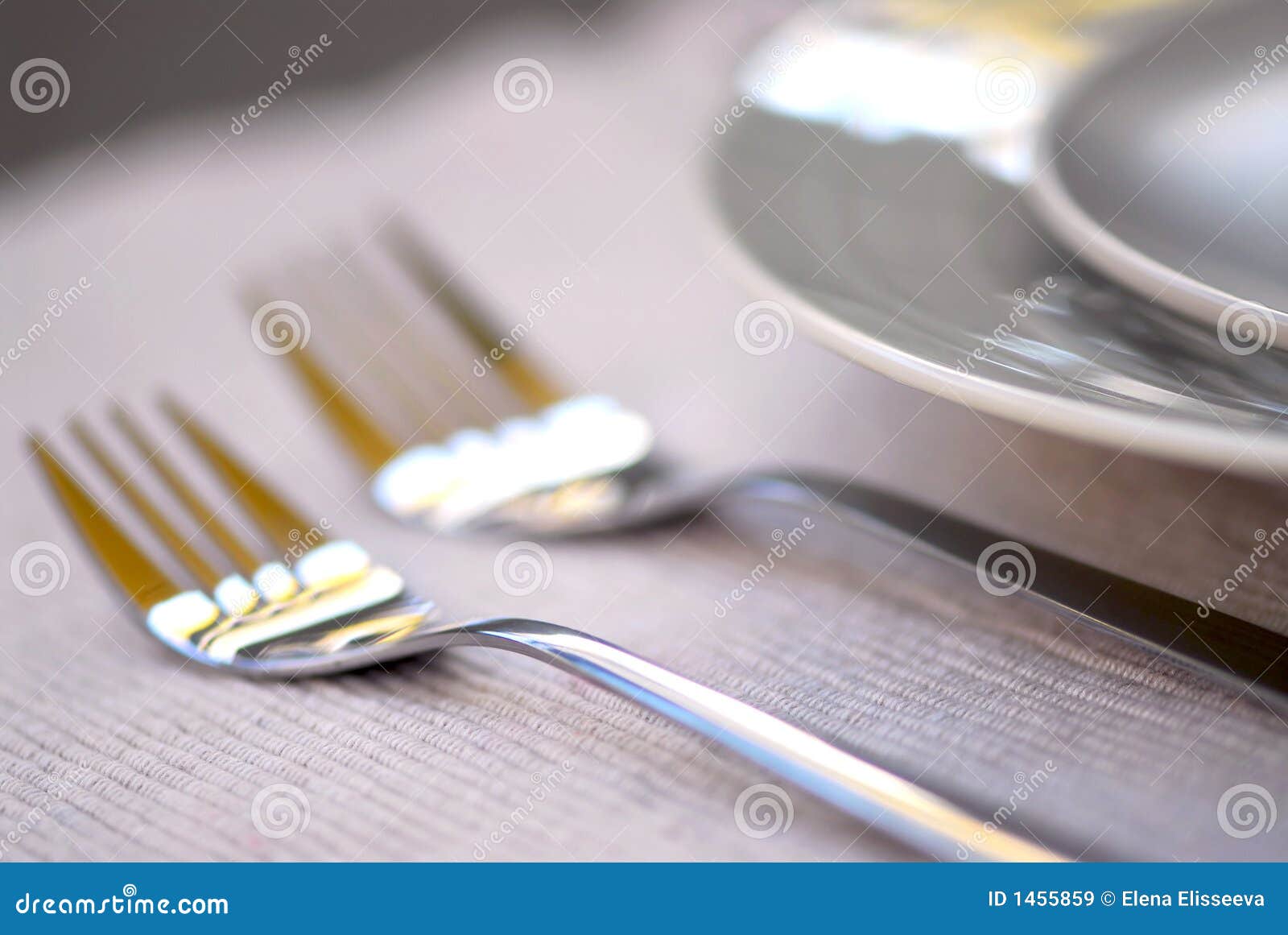 Plates and cutlery stock image. Image of food, closeup 1455859
