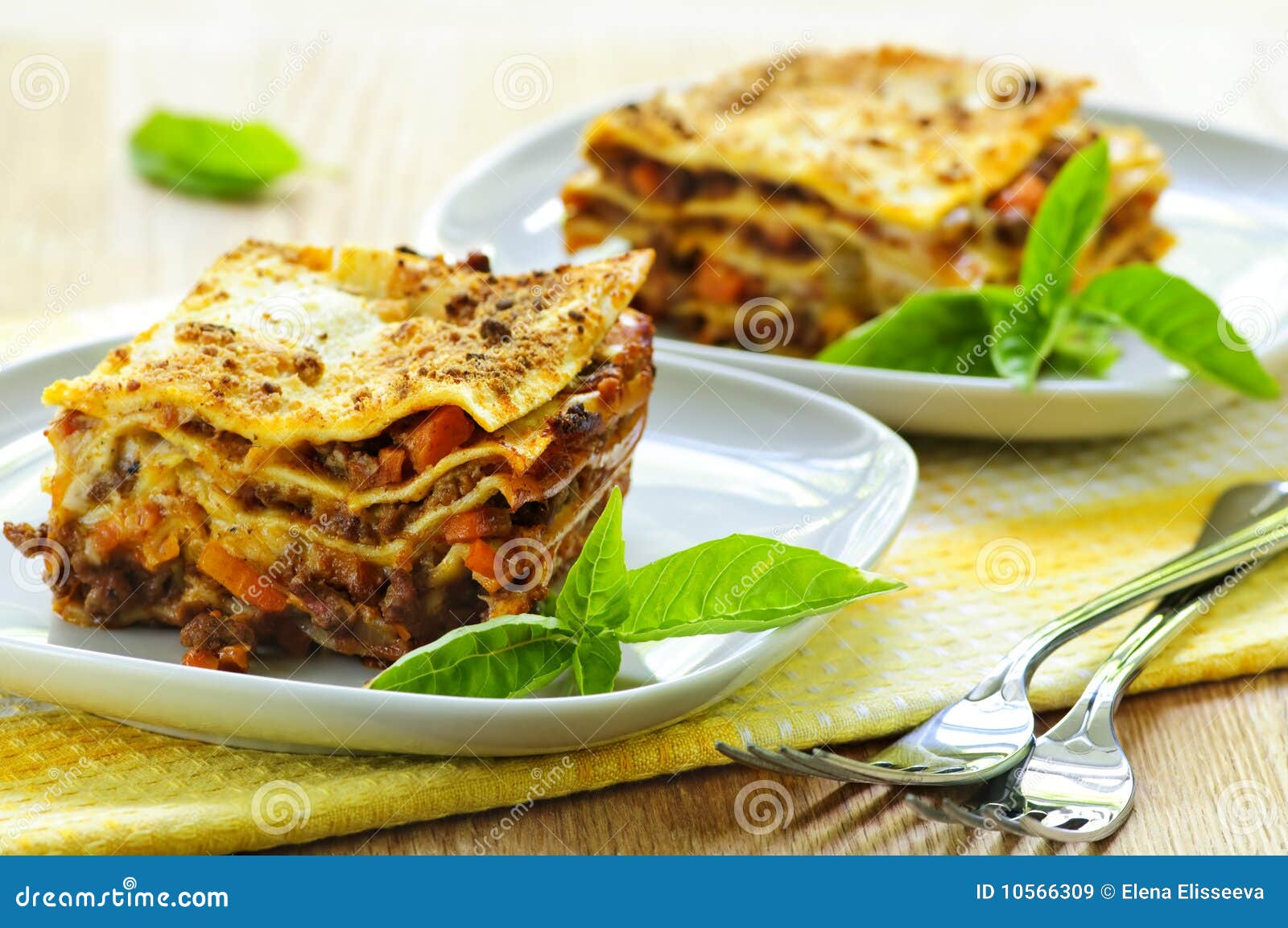 Plates of lasagna stock image. Image of lunch, healthy - 10566309