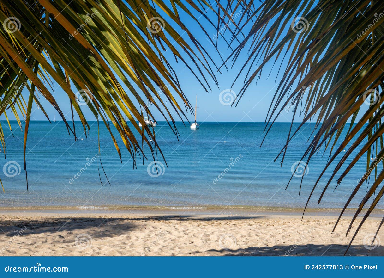 Playa boqueron puerto rico imagen de archivo. Imagen de océano 242577813