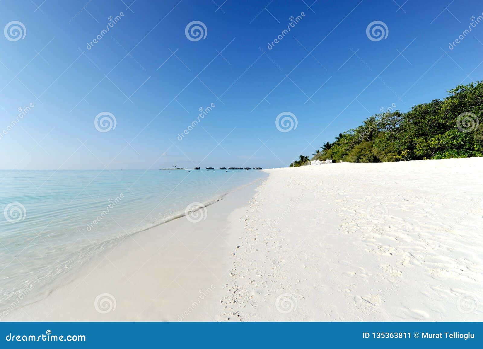 Playa De La Isla De Paradise En Maldivas Imagen de archivo Imagen de